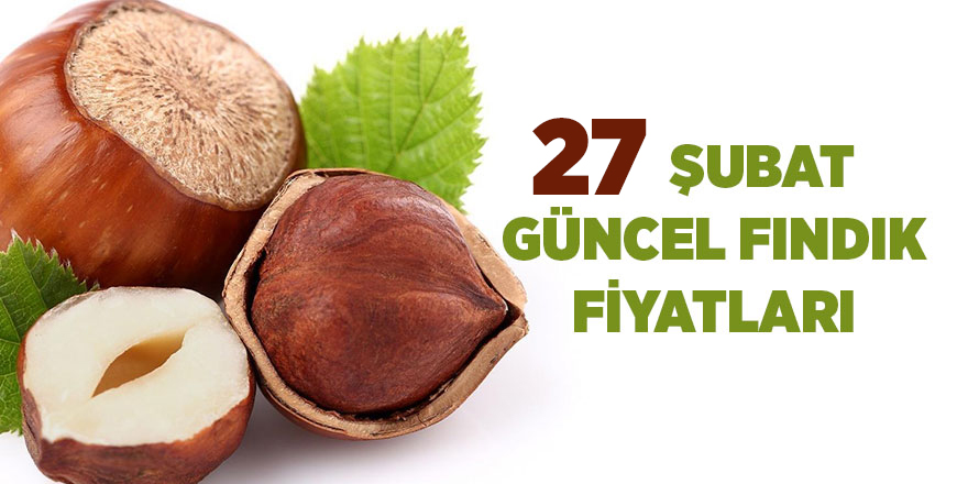 27 Şubat güncel fındık fiyatları - samsun haber