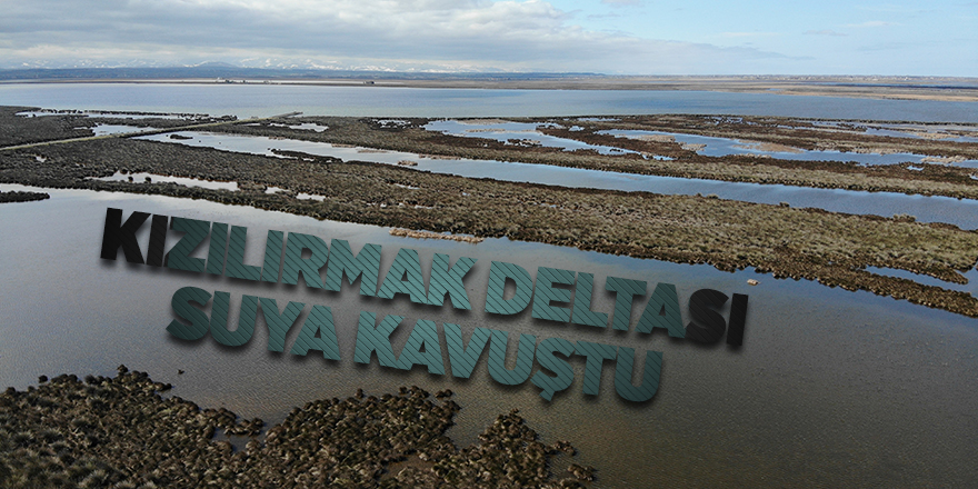 Kızılırmak Deltası suya kavuştu - samsun haber