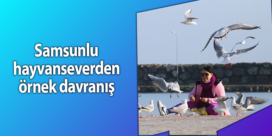 Samsunlu hayvanseverden örnek davranış - samsun haber