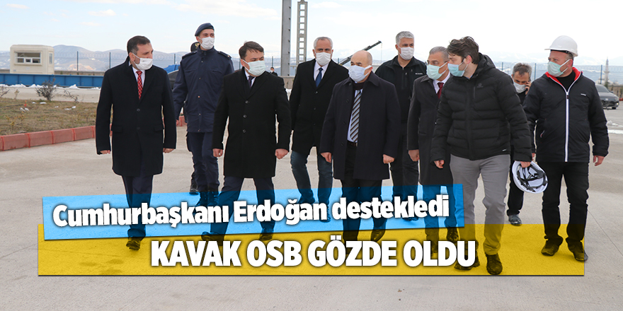 Cumhurbaşkanı Erdoğan destekledi Kavak OSB gözde oldu - samsun haber