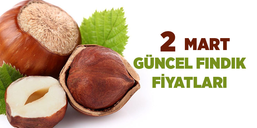 2 Mart güncel fındık fiyatları - samsun haber