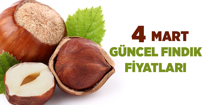 4 Mart güncel fındık fiyatları - samsun haber