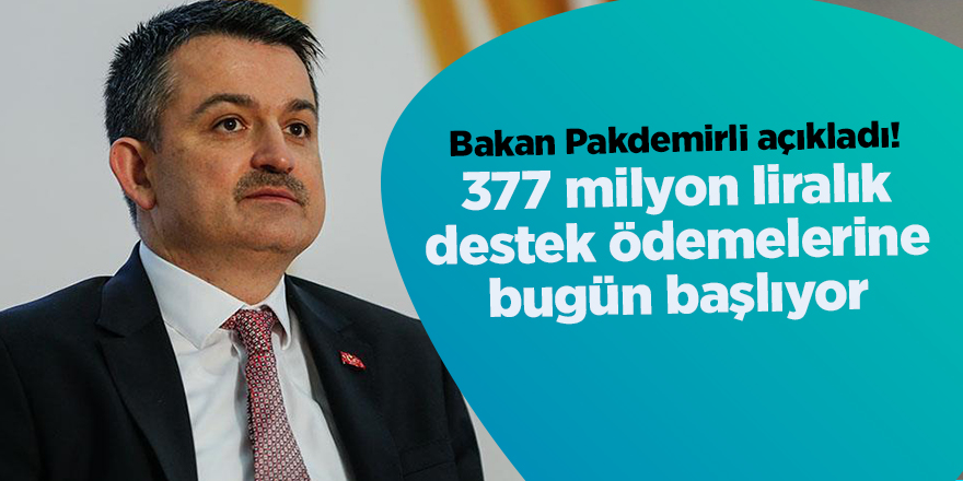 Bakan Pakdemirli açıkladı! 377 milyon liralık destek ödemelerine bugün başlıyor