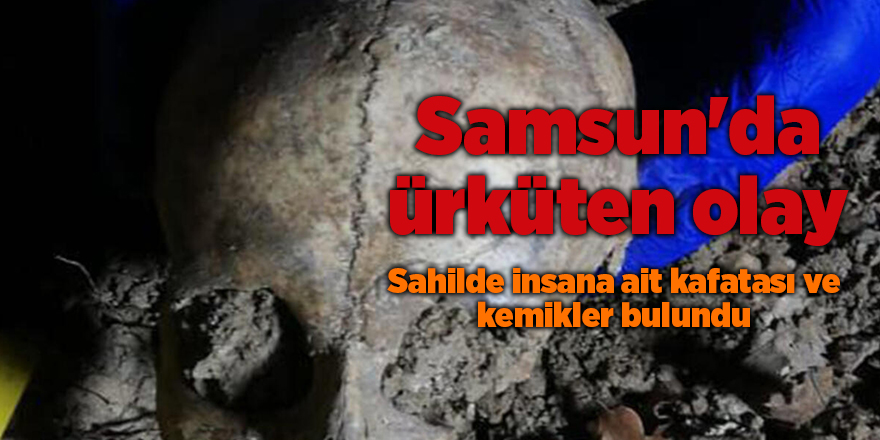 Sahilde insana ait kafatası ve kemikler bulundu - samsun haber