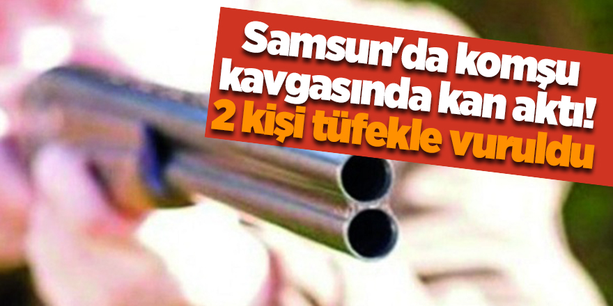 Samsun'da komşu kavgasında kan aktı! 2 kişi tüfekle vuruldu - samsun haber