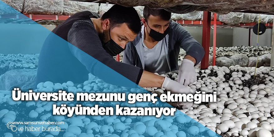 Üniversite mezunu genç ekmeğini köyünden kazanıyor - samsun haber