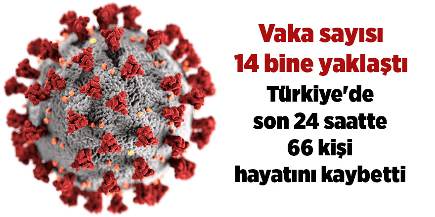 Türkiye'de son 24 saatte 66 kişi hayatını kaybetti - samsun haber