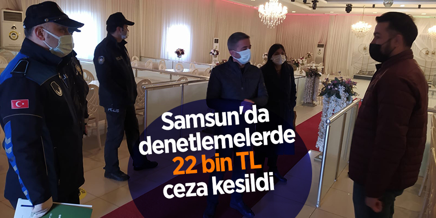 Samsun'da denetlemelerde 22 bin TL ceza kesildi - samsun haber