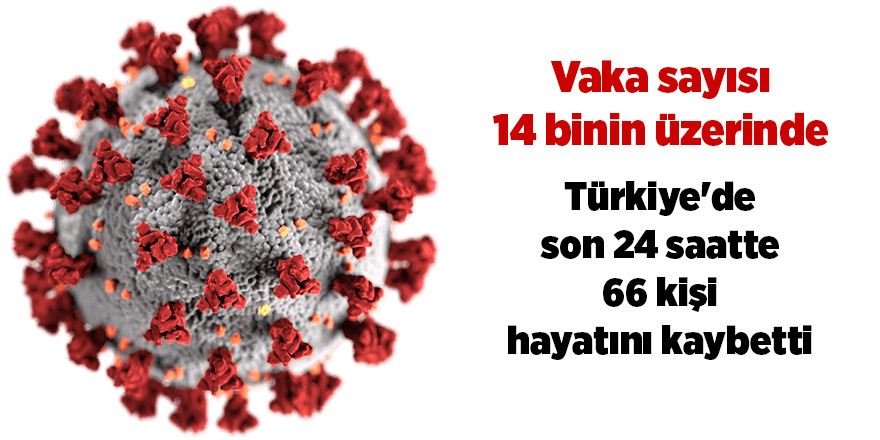 Türkiye'de son 24 saatte 66 kişi hayatını kaybetti - samsun haber