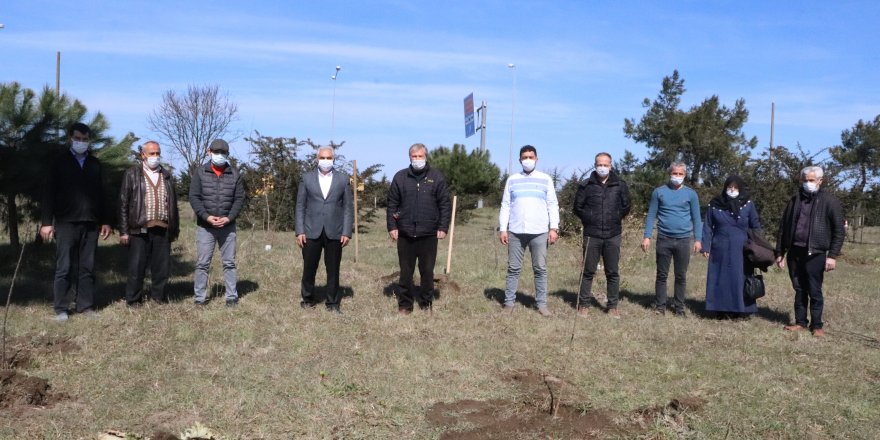 Samsun'da şehitler anısına 60 meyve fidanı toprakla buluşturuldu - samsun haber