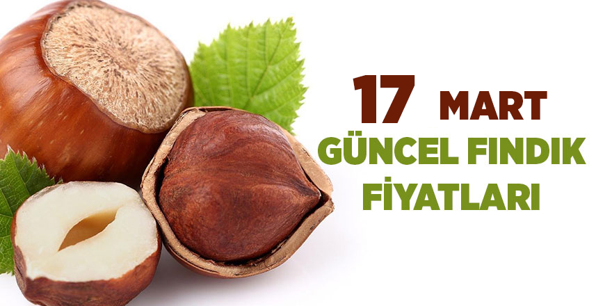 17 Mart güncel fındık fiyatları - samsun haber