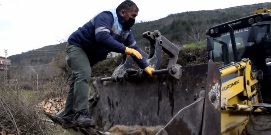 Samsun'da dere kenarında mahsur kalan köpek kurtarıldı - samsun haber