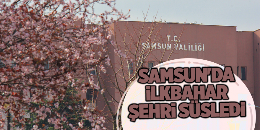 Samsun'da ilkbahar şehri süsledi - samsun haber