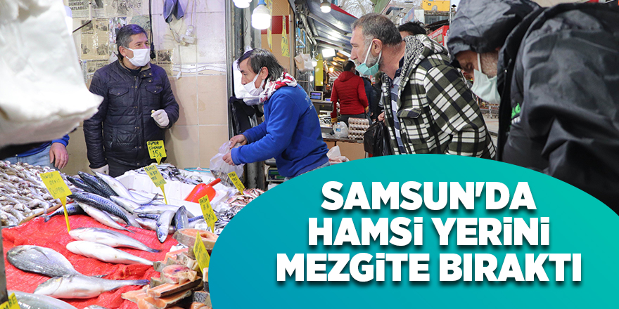 Samsun'da hamsi yerini mezgite bıraktı - samsun haber