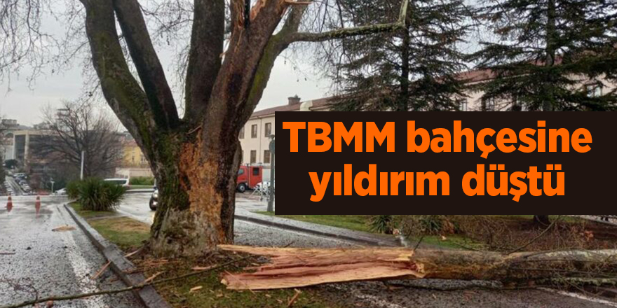 TBMM bahçesine yıldırım düştü - samsun haber