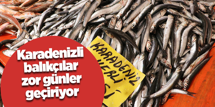 Karadenizli balıkçılar zor günler geçiriyor - samsun haber