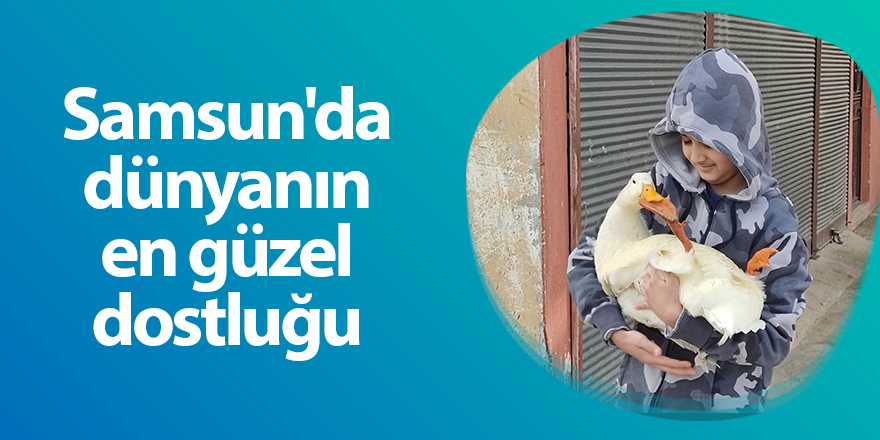 13 yaşındaki çocuk ve ördek birbirinden ayrılmıyor - samsun haber