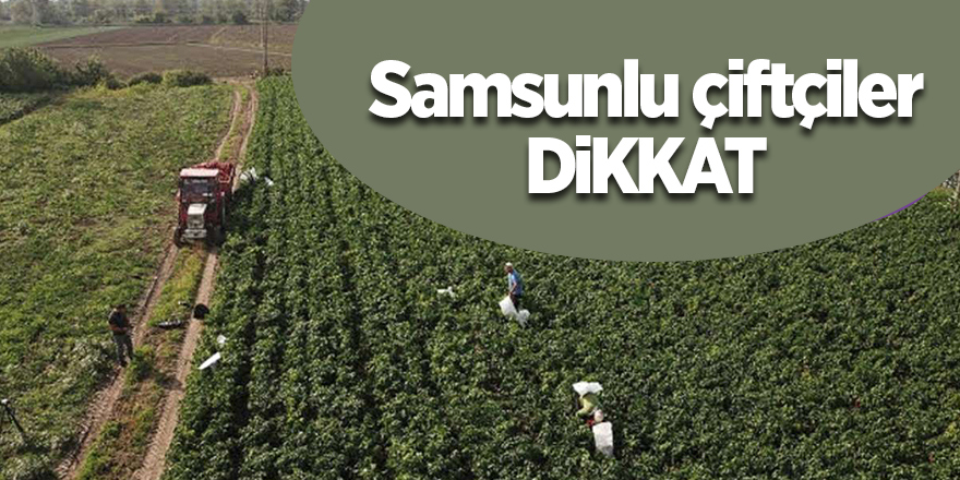 62,5 milyon TL mazot ve gübre desteği ödemesi yapılacak - samsun haber