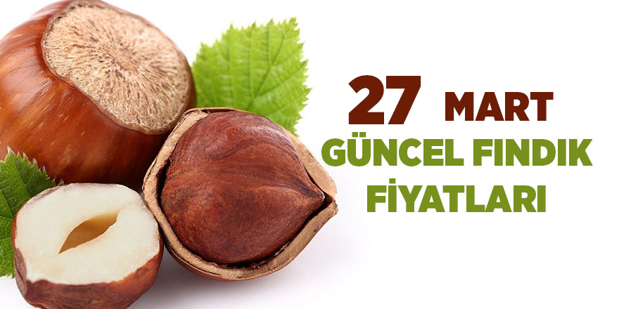 27 Mart güncel fındık fiyatları - samsun haber