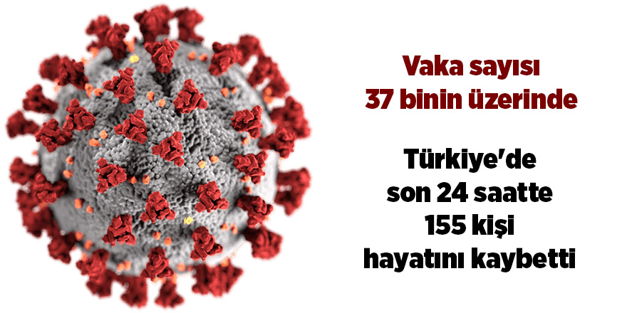 Türkiye'de son 24 saatte 155 kişi hayatını kaybetti - samsun haber