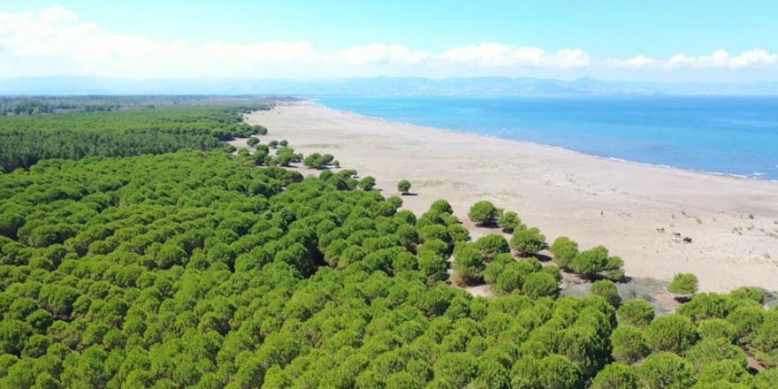 Çarşamba'da turizme büyük katkı - samsun haber