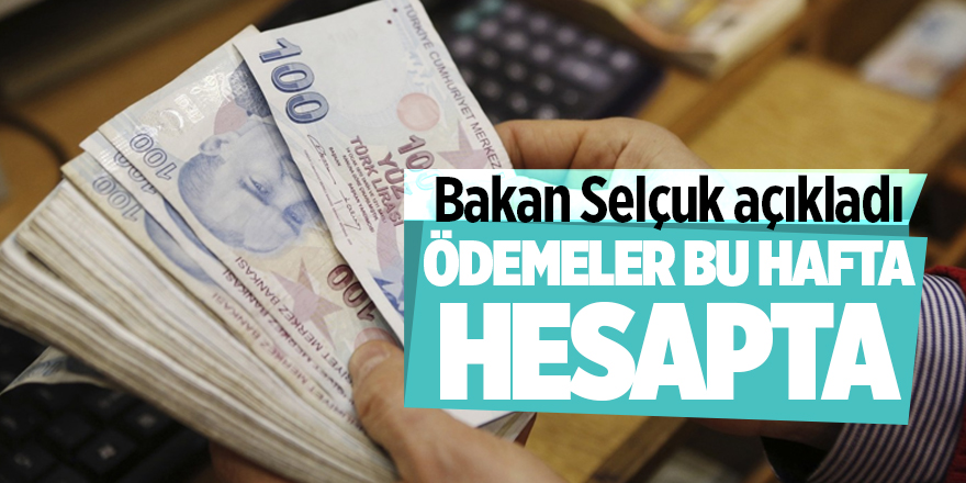 Bakan Selçuk açıkladı: Ödemeler bu hafta hesapta - samsun haber