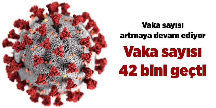 Türkiye'de son 24 saatte 179 kişi hayatını kaybetti