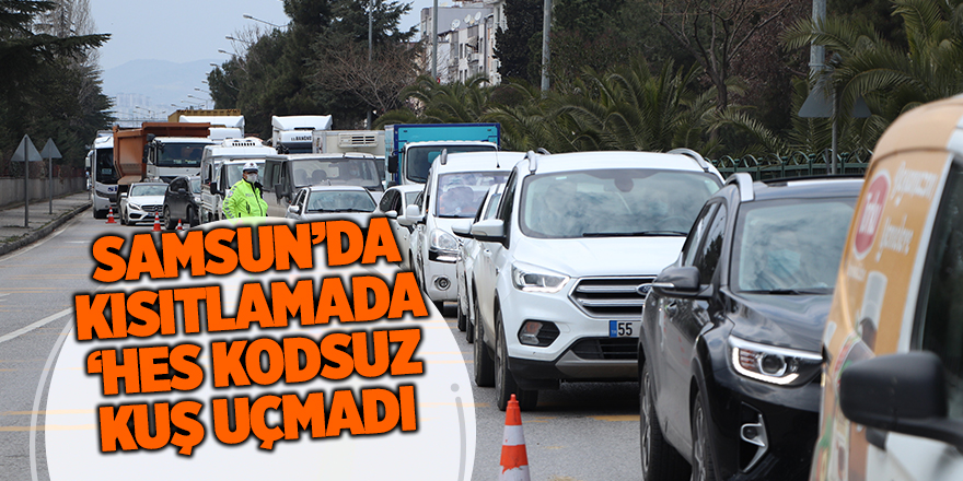 Samsun’da kısıtlamada ‘HES kodsuz kuş uçmadı - samsun haber