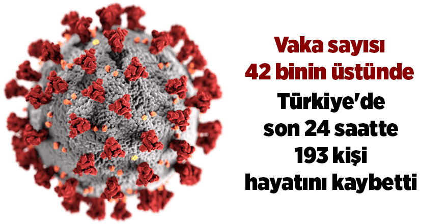 Türkiye'de son 24 saatte 193 kişi hayatını kaybetti - samsun haber