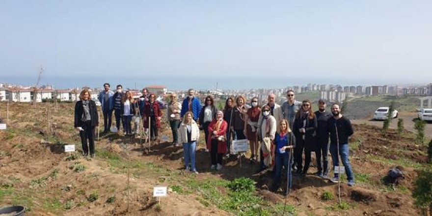 Samsun'da Korona nedeniyle hayatını kaybeden eczacılar unutulmadı - samsun haber