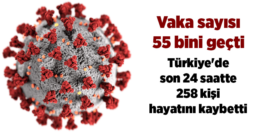 Türkiye'de son 24 saatte 258 kişi hayatını kaybetti - samsun haber