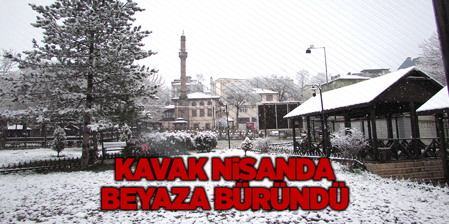 Kavak nisanda beyaza büründü - samsun haber