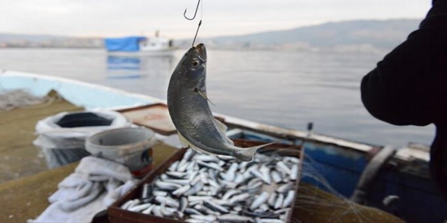 Kısıtlamada balık avına giden iki kişi jandarmaya yakalandı - samsun haber