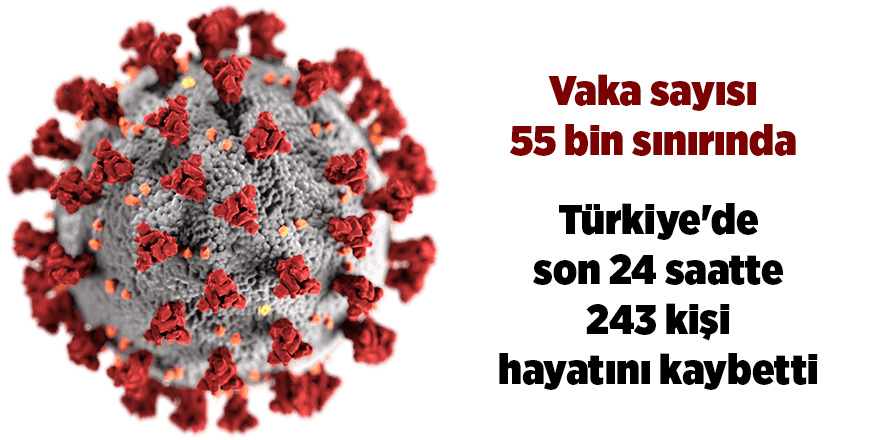 Türkiye'de son 24 saatte 243 kişi hayatını kaybetti - samsun haber