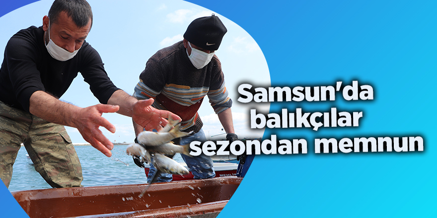 Samsun'da balıkçılar sezondan memnun - samsun haber