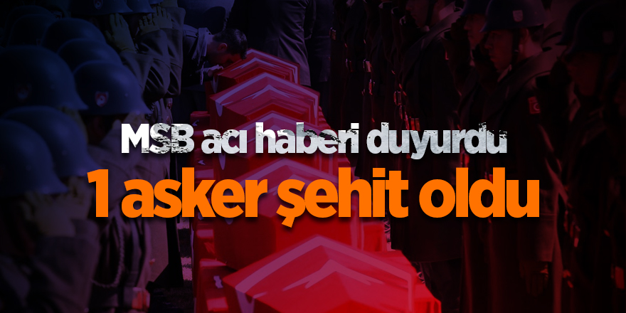 MSB acı haberi duyurdu - samsun haber