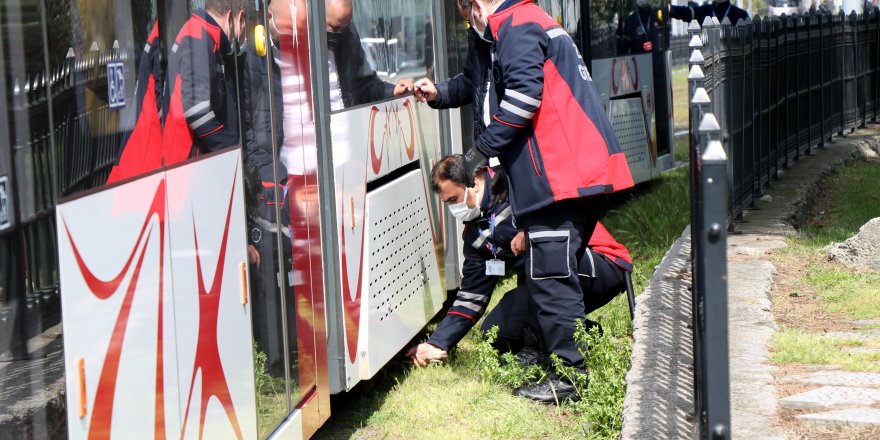 Samsun'da raylara yatan köpeğe tramvay çarptı - samsun haber