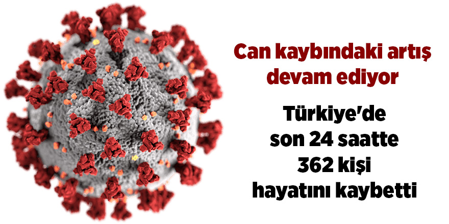 Türkiye'de son 24 saatte 362 kişi hayatını kaybetti - samsun haber