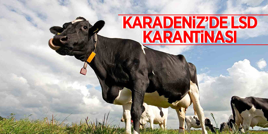 Karadeniz’de LSD karantinası 