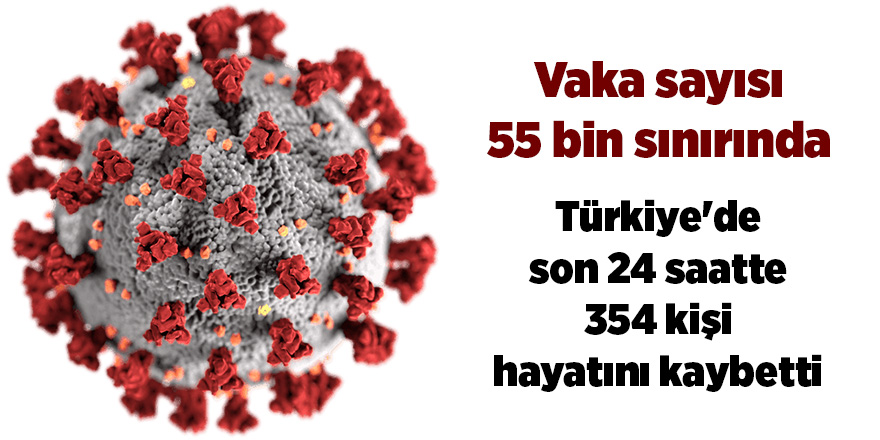 Türkiye'de son 24 saatte 354 kişi hayatını kaybetti - samsun haber