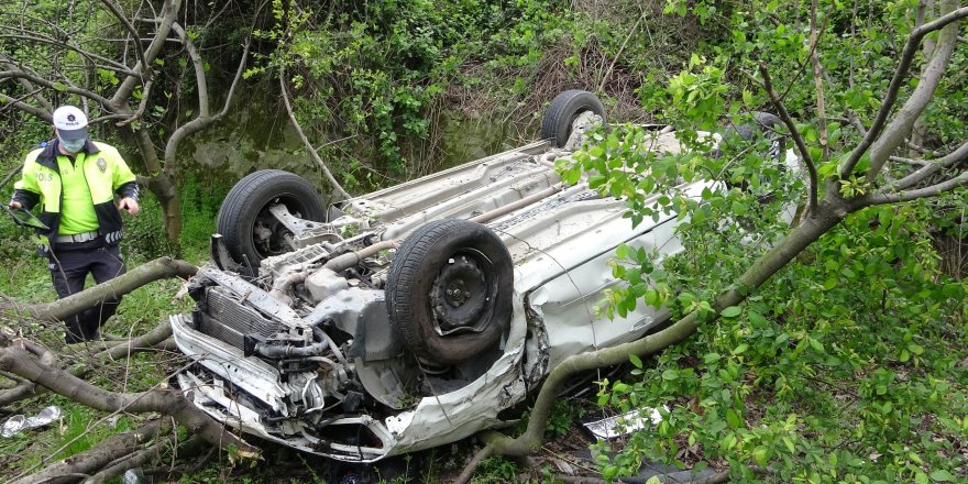 Samsun'da incir ağacı  faciayı önledi - samsun haber