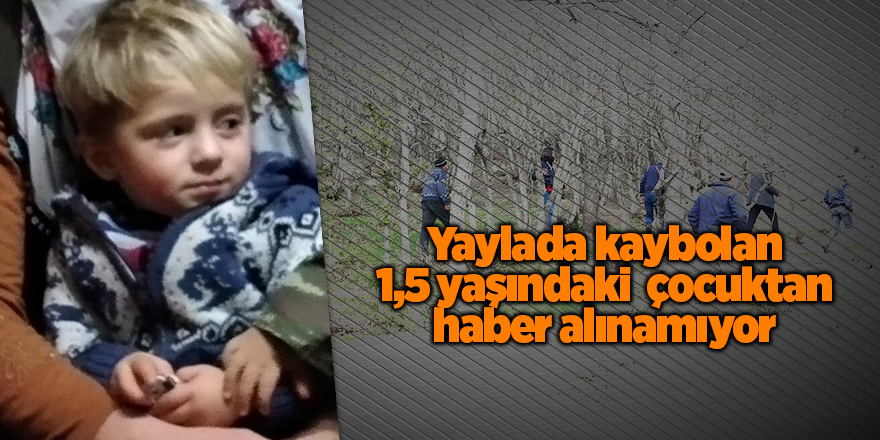 Yaylada kaybolan 1,5 yaşındaki  çocuktan haber alınamıyor - samsun haber