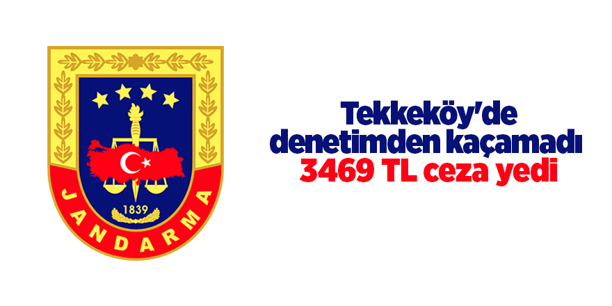 Tekkeköy'de denetimden kaçamadı  3469 TL ceza yedi - samsun haber