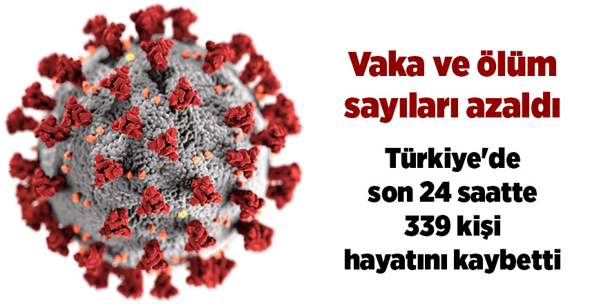 Türkiye'de son 24 saatte 339 kişi hayatını kaybetti - samsun haber