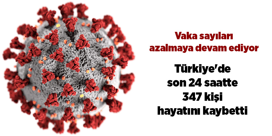 Türkiye'de son 24 saatte 347 kişi hayatını kaybetti - samsun haber