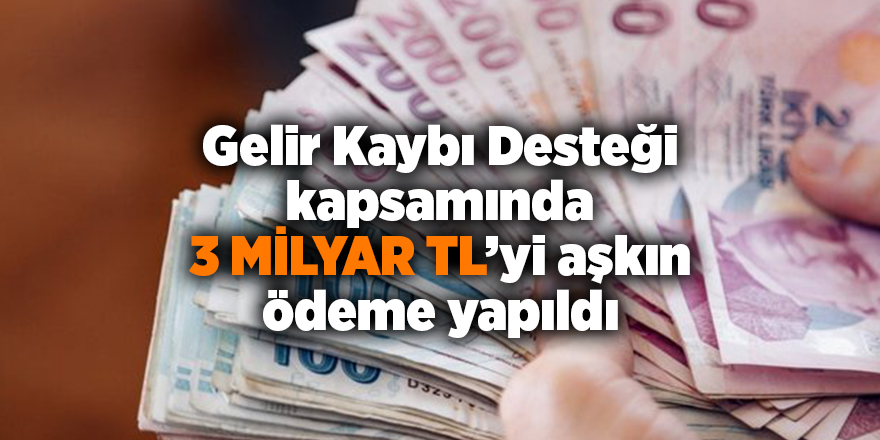 Gelir Kaybı Desteği  kapsamında 3 milyar TL’yi aşkın ödeme yapıldı - samsun haber