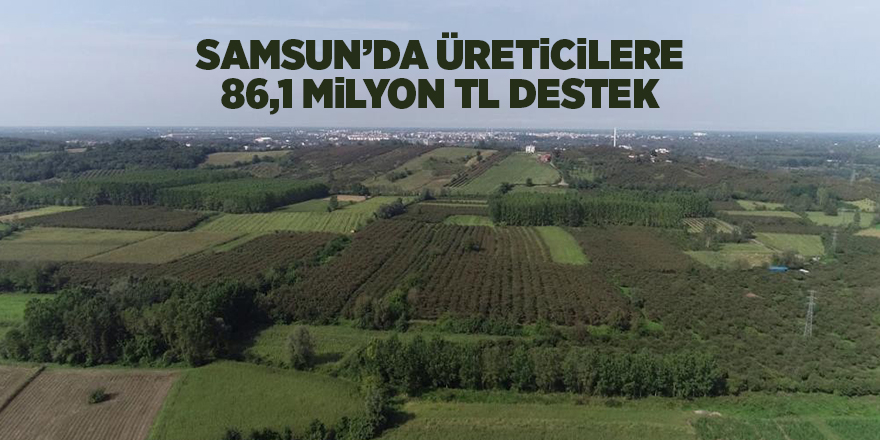 Samsun’da üreticilere 86,1 milyon TL destek - samsun haber