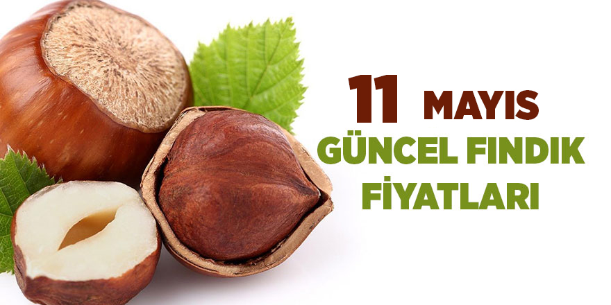 11 Mayıs güncel fındık fiyatları - samsun haber