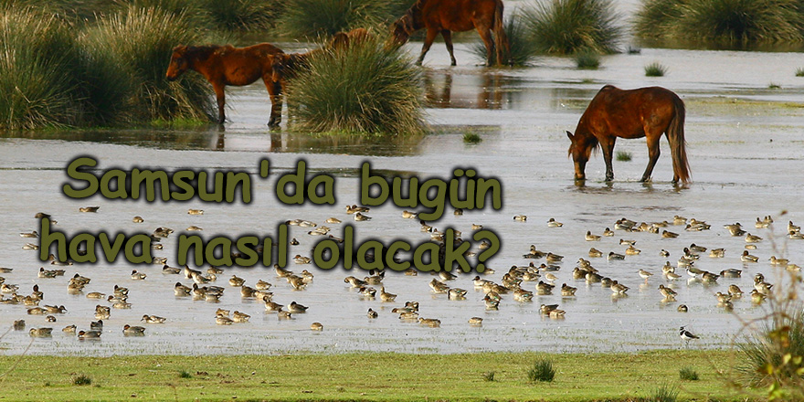 Samsun'da bugün hava nasıl olacak? - samsun haber