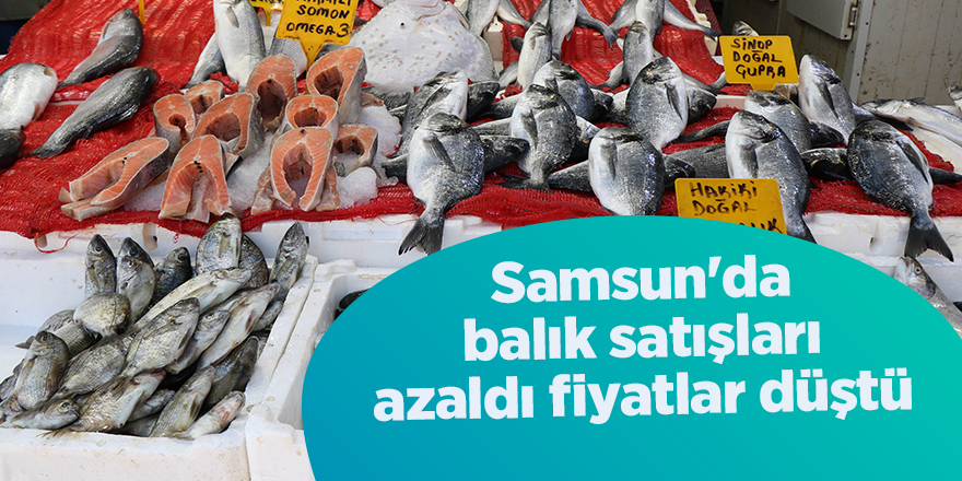 Samsun'da balık satışları azaldı fiyatlar düştü - samsun haber